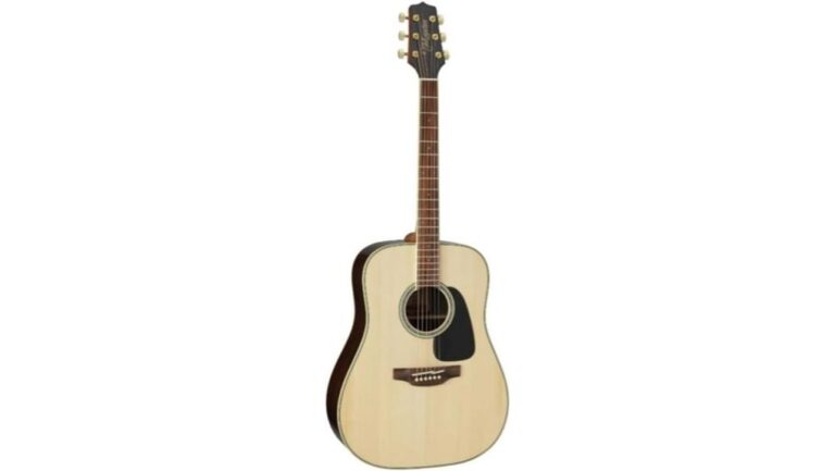 great dreadnought acoustic guitar