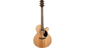 great starter acoustic guitar