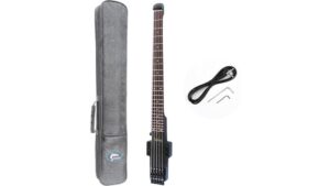 headless five string bass