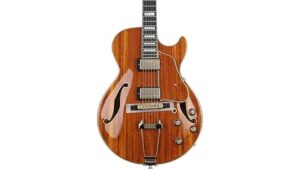 hollowbody jazz guitar