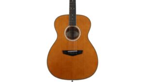 jazz acoustic electric guitar