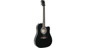 johnson acoustic guitar review