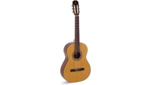 juanita ecf review admira