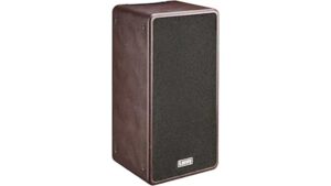 laney acoustic duo amp