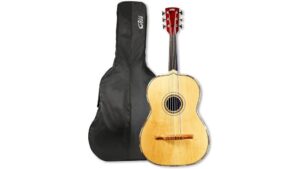 large acoustic mexican bass
