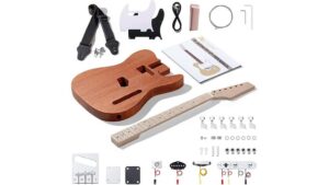 leo jaymz guitar kit