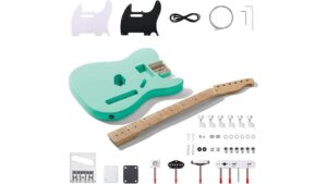 leo jaymz guitar kit