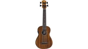 luna bari bass ukulele review