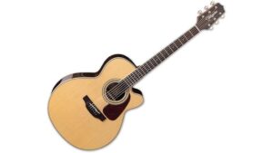 luxurious ziricote guitar