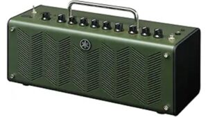 modeling amp for shredders