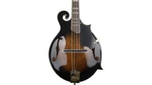 modern archtop hollow body