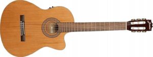 nat acoustic electric guitar review