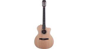 nylon string taylor guitar