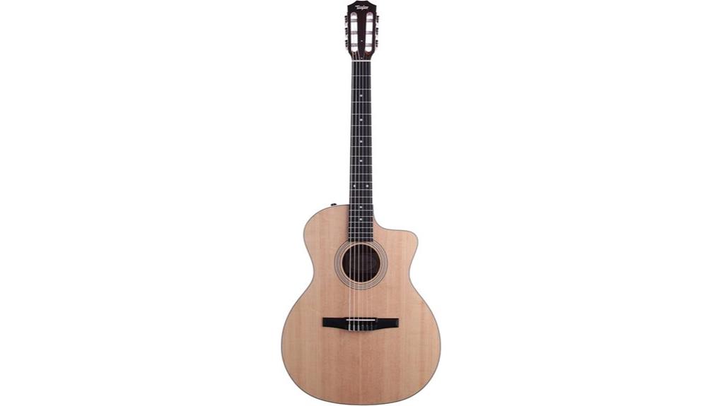 nylon string taylor guitar
