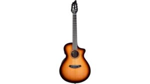 organic acoustic electric nylon