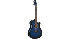 oscar schmidt oaceftbl review