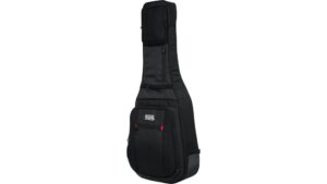 padded gig bag review