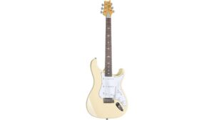 parlor sized acoustic electric