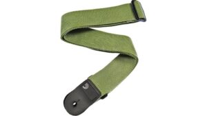 planet waves pws107 review