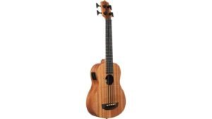 portable acoustic electric u bass
