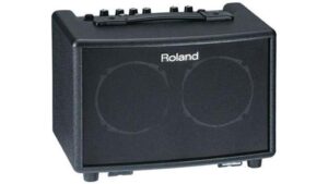 portable acoustic guitar amp