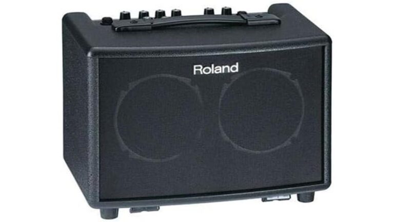 portable acoustic guitar amp