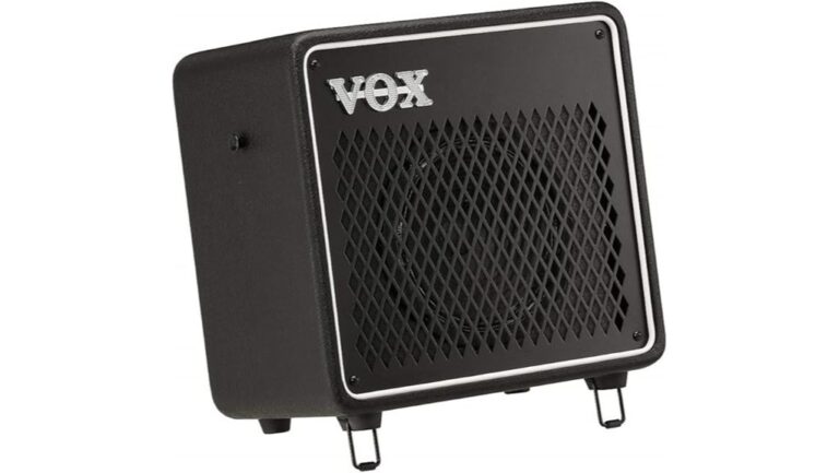 portable power amplifier