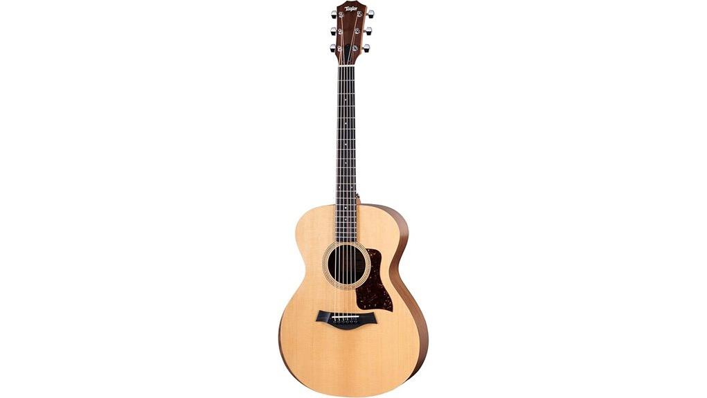 premium acoustic electric for beginners