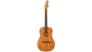 premium acoustic electric guitar