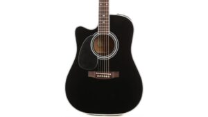 premium acoustic electric workhorse