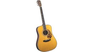 premium acoustic guitar review