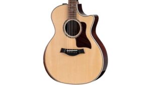 premium grand auditorium electro acoustic