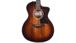 premium taylor acoustic guitar