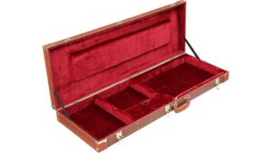 protection for electric guitars