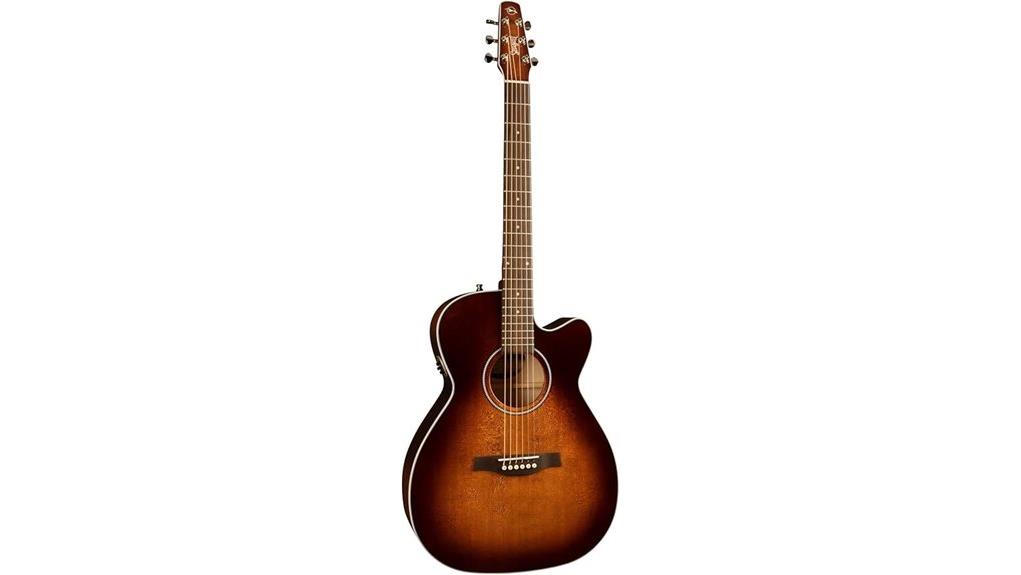 rich acoustic electric guitar