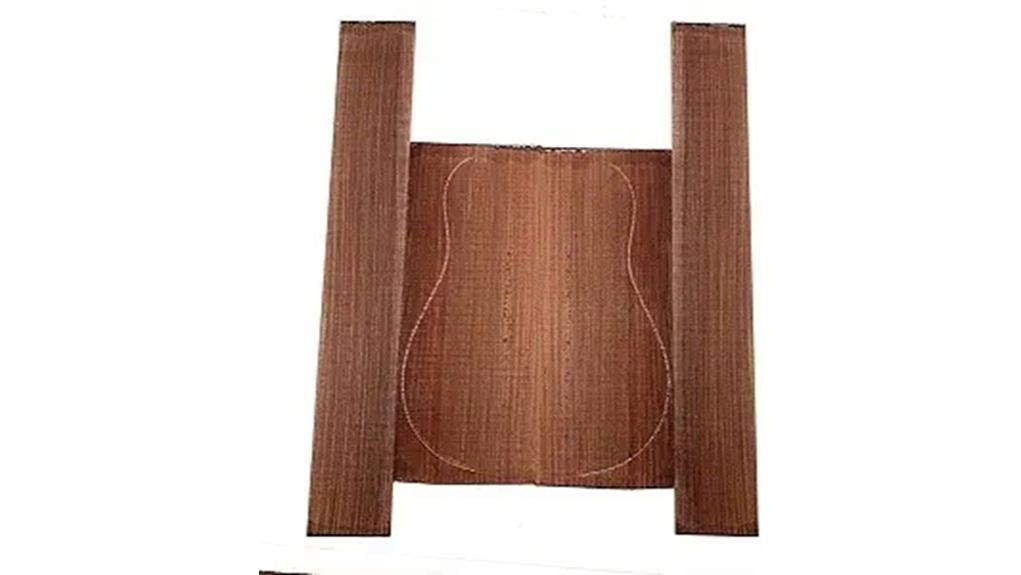 rosewood dreadnought set review