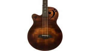 rudy sarzo bass review