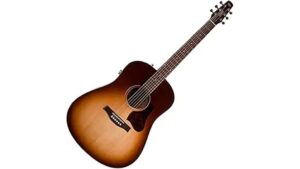 seagull autumn burst qit