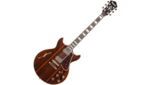 semi hollow electric guitar