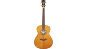 semi hollow electric guitar review