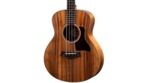 short scale acoustic bass