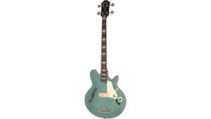 signature electric bass guitar