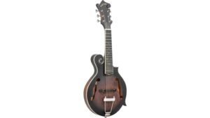 six string mando guitar review