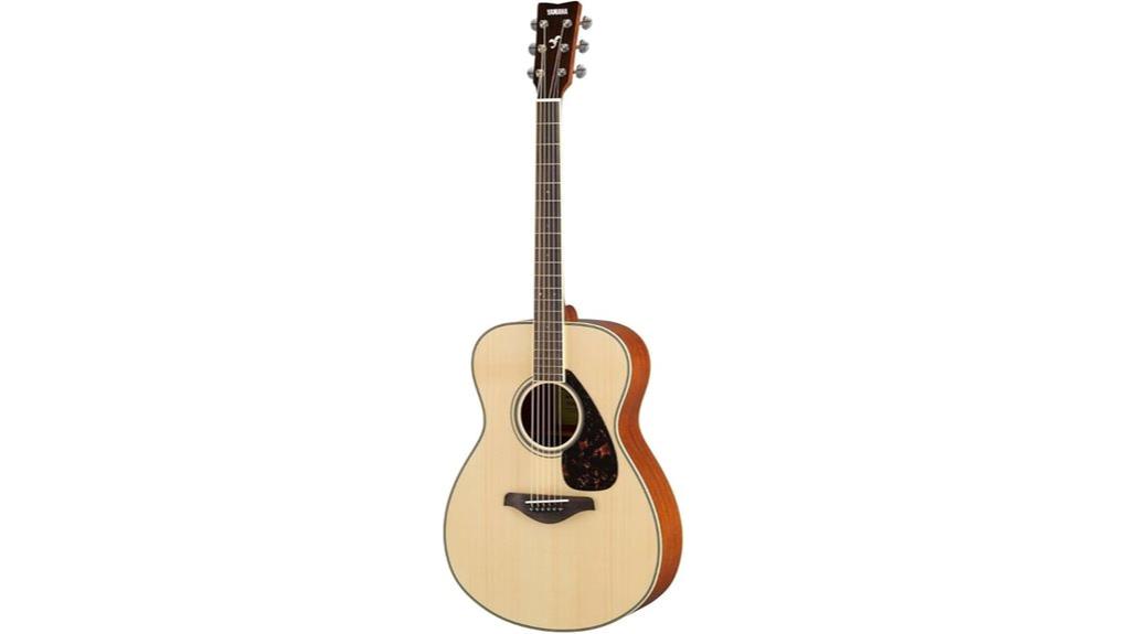small body acoustic guitar