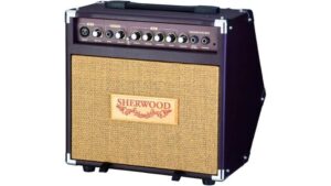 small combo amp review