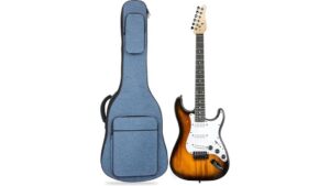 soft guitar case review