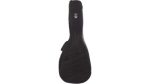 soft shell guild case