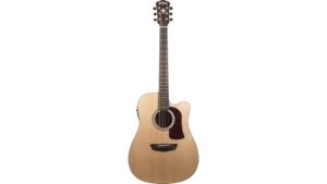 solid acoustic electric guitar