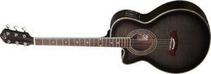 solid affordable acoustic guitar
