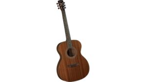 solid beginner acoustic guitar